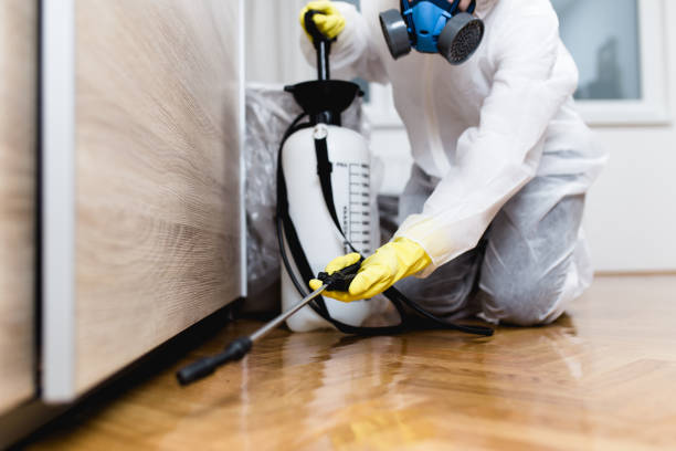 Best Best Pest Control Companies  in Paxton, IL