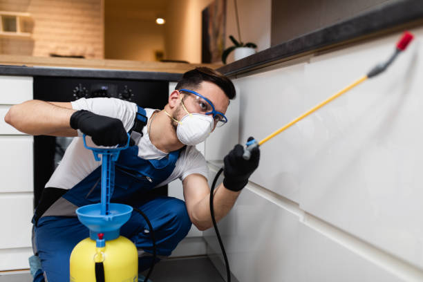 Best Pest Control Near Me  in Paxton, IL
