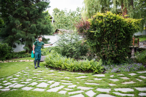Best Best Pest Control Companies  in Paxton, IL
