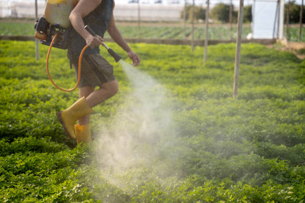Best Pest Prevention Services  in Paxton, IL