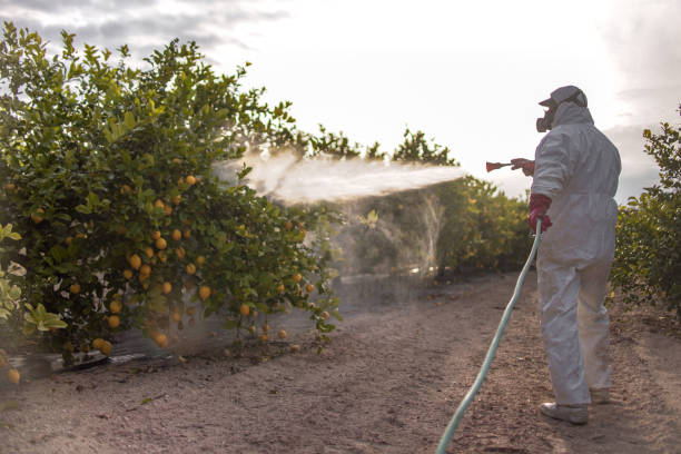 Pest Prevention Services in Paxton, IL