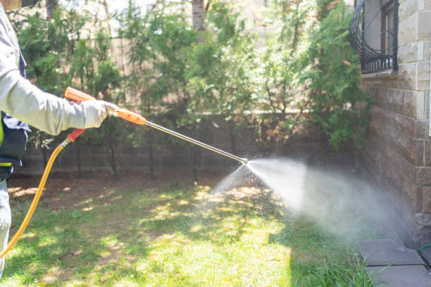 Best Wasp Removal Services  in Paxton, IL