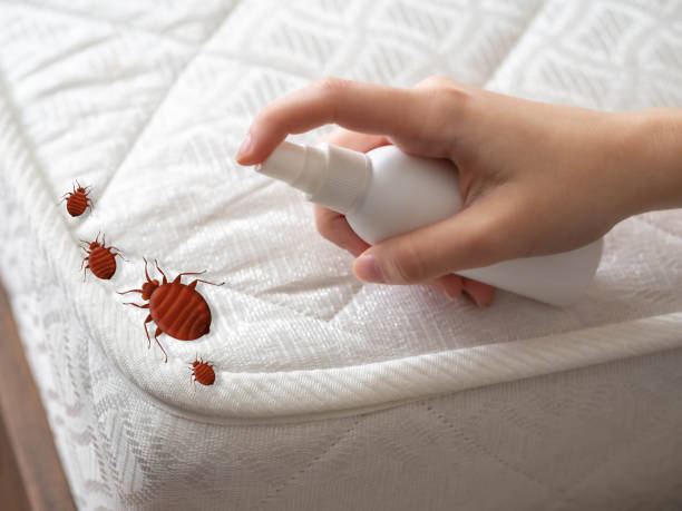 Best Local Pest Control Services  in Paxton, IL