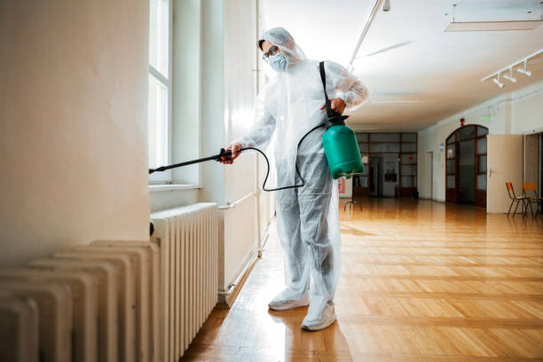 Best Pest Inspection Near Me  in Paxton, IL