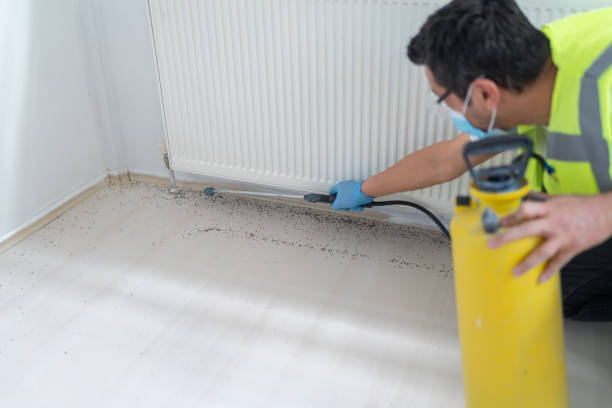 Best Commercial Pest Control Services  in Paxton, IL