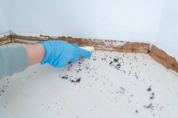 Paxton, IL Pest Control Company